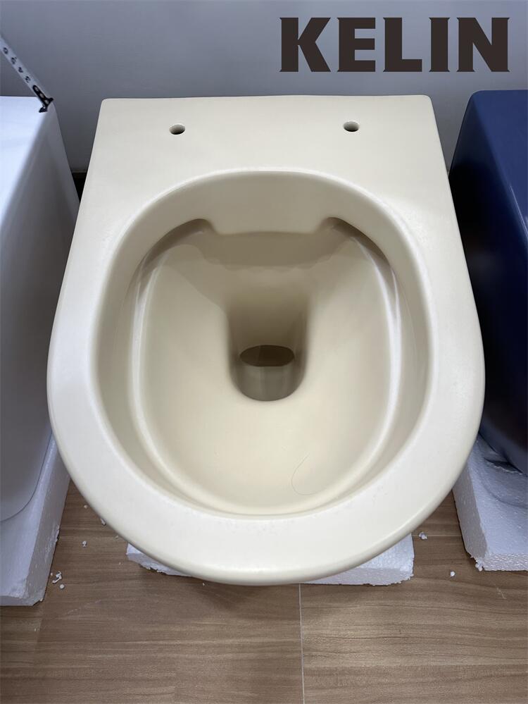 Inodoro suspendido de cerámica - Home Bathroom Toilet reseña y precio