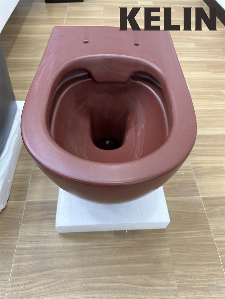 Inodoro suspendido de cerámica - Home Bathroom Toilet reseña y precio