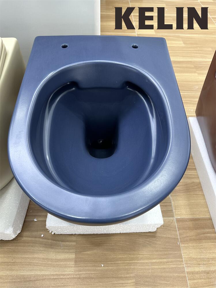 Inodoro suspendido de cerámica - Home Bathroom Toilet reseña y precio